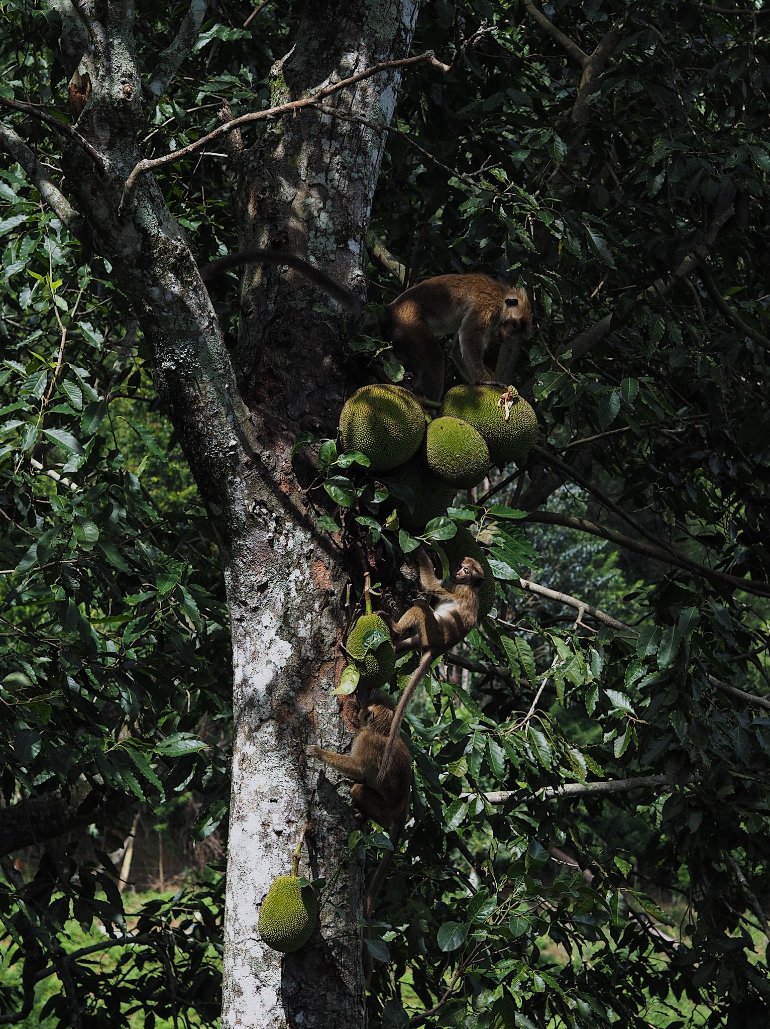 WhatsApp Image 2025-03-19 at 17.16.15 (5)