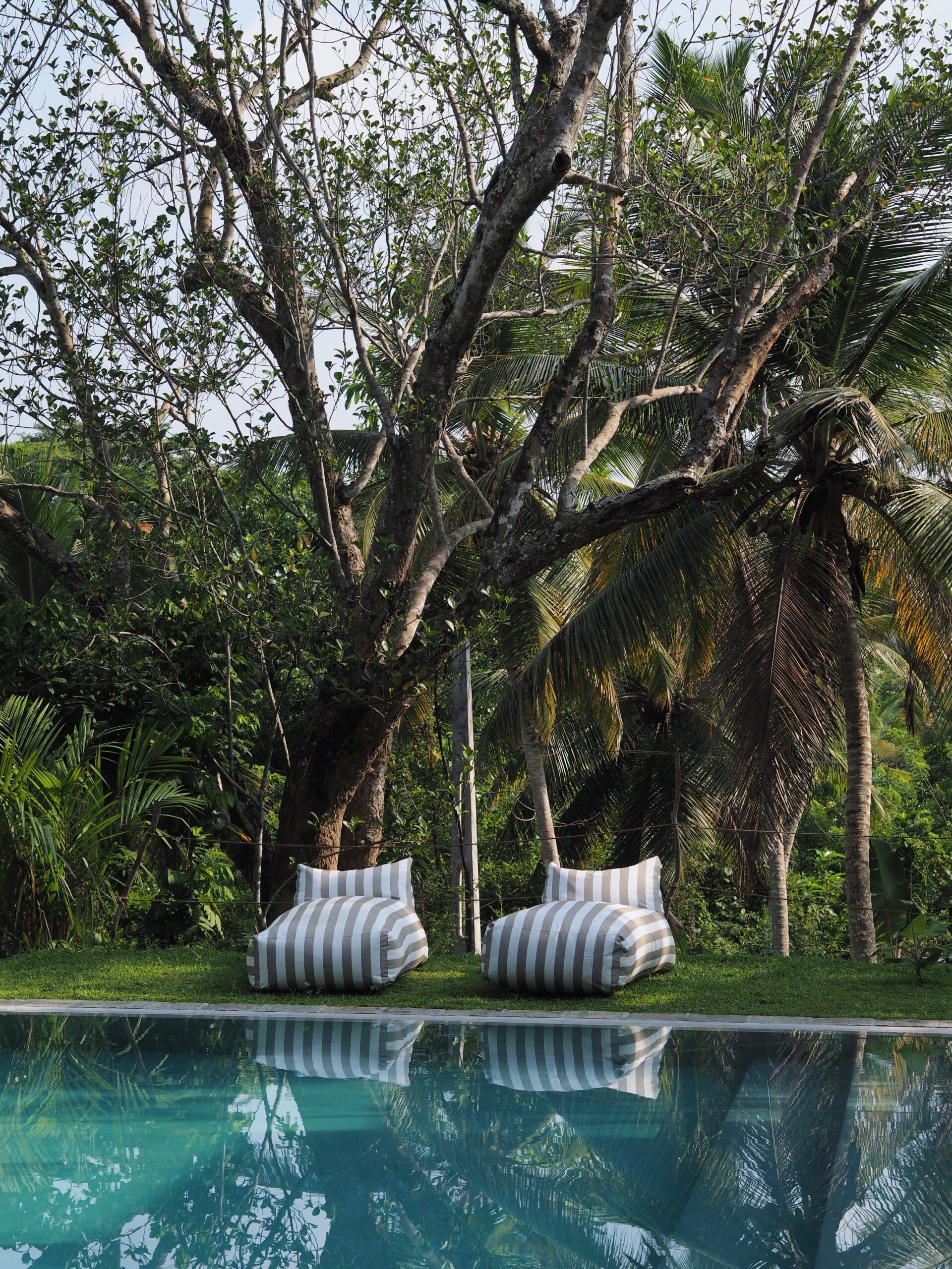 Processed with VSCO with al1 preset